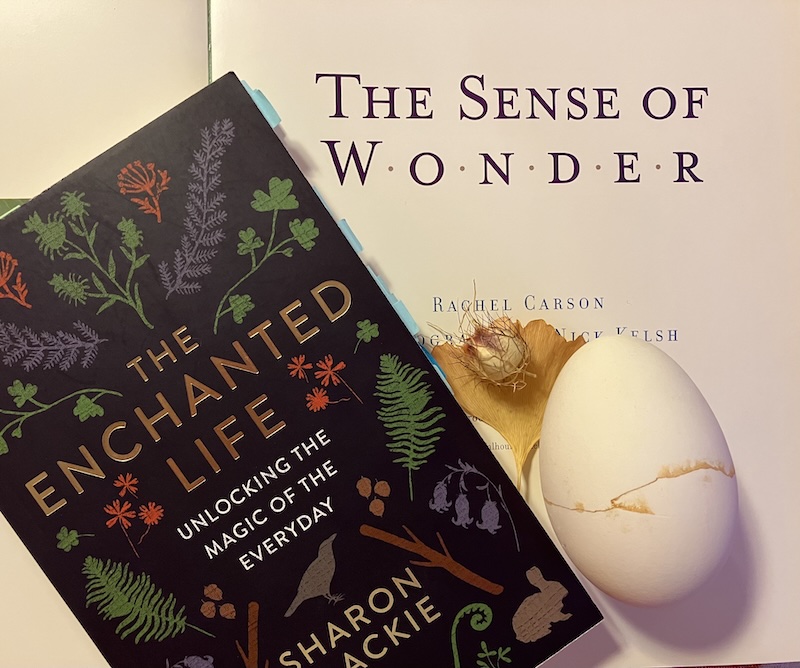 Open book with cover page "The Sense of Wonder" by Rachel Carson. Dark colored paperback book on top with gold lettering "The Enchanted Life" by Sharon Blackie. Beside the book a dried leaf and a large white egg cracked and repaired with gold.